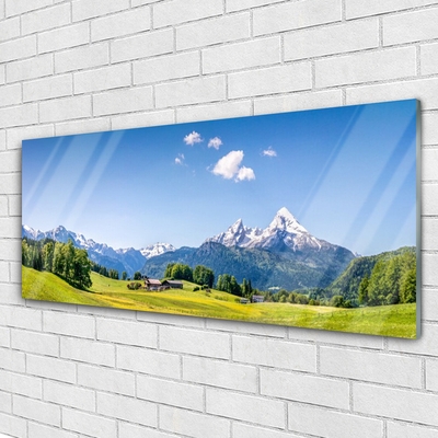 Quadro di vetro Campi Alberi Montagne Paesaggio