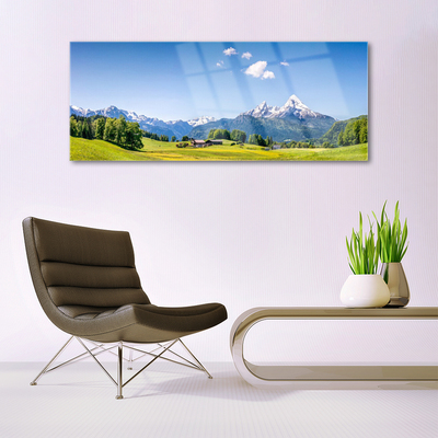 Quadro di vetro Campi Alberi Montagne Paesaggio