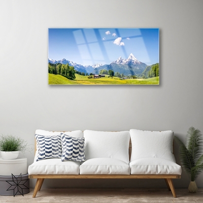 Quadro di vetro Campi Alberi Montagne Paesaggio