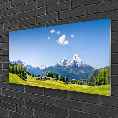 Quadro di vetro Campi Alberi Montagne Paesaggio