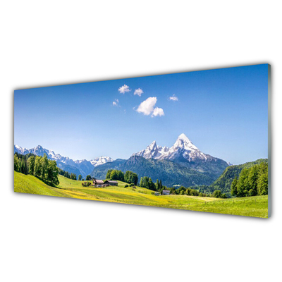 Quadro di vetro Campi Alberi Montagne Paesaggio