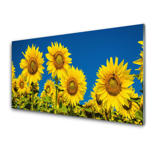 Quadro in vetro Pianta di girasoli