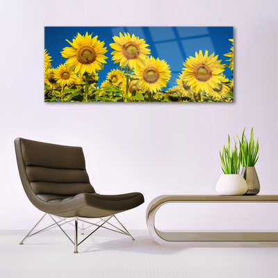 Quadro in vetro Pianta di girasoli