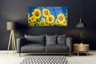 Quadro in vetro Pianta di girasoli