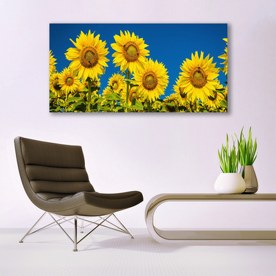 Quadro in vetro Pianta di girasoli