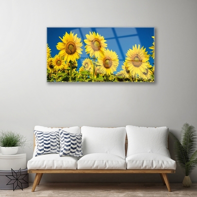 Quadro in vetro Pianta di girasoli