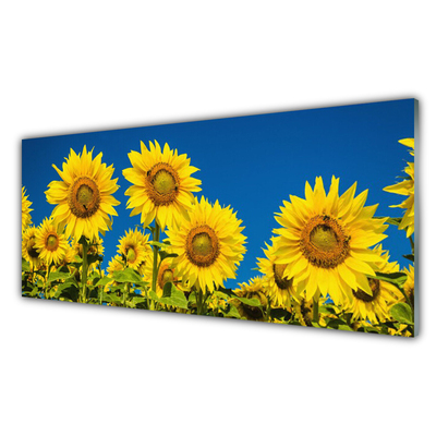 Quadro in vetro Pianta di girasoli