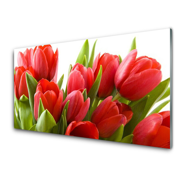 Quadro in vetro Tulipani Fiori Pianta