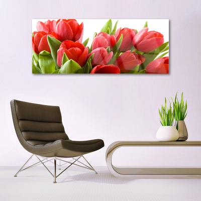 Quadro in vetro Tulipani Fiori Pianta