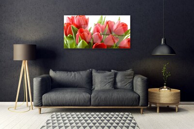 Quadro in vetro Tulipani Fiori Pianta