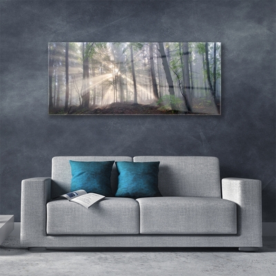 Quadro vetro Foresta Natura Alberi