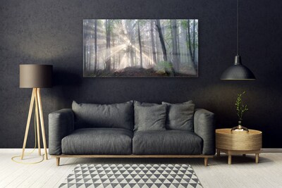 Quadro vetro Foresta Natura Alberi