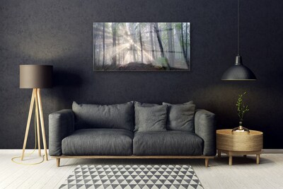 Quadro vetro Foresta Natura Alberi