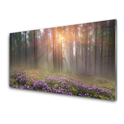 Quadro vetro Foresta Fiori Pianta Natura