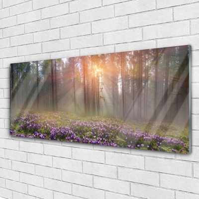 Quadro vetro Foresta Fiori Pianta Natura