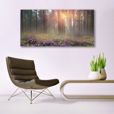 Quadro vetro Foresta Fiori Pianta Natura