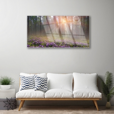 Quadro vetro Foresta Fiori Pianta Natura