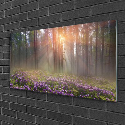 Quadro vetro Foresta Fiori Pianta Natura