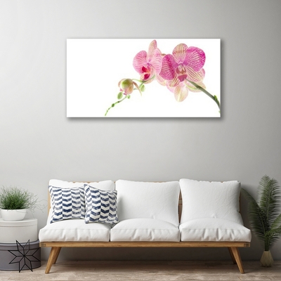 Quadro in vetro Pianta di fiori