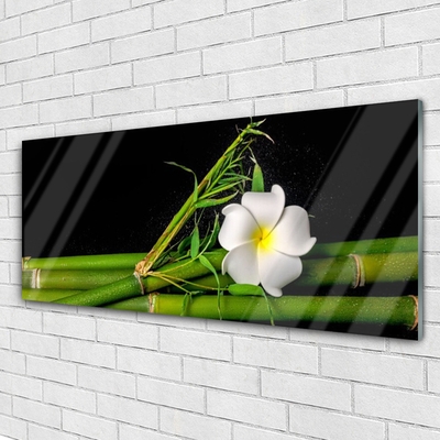 Quadro su vetro Pianta di fiori di bambù