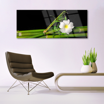 Quadro su vetro Pianta di fiori di bambù