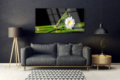 Quadro su vetro Pianta di fiori di bambù