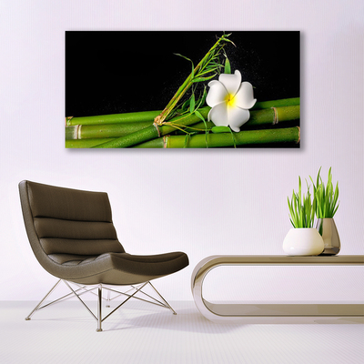 Quadro su vetro Pianta di fiori di bambù