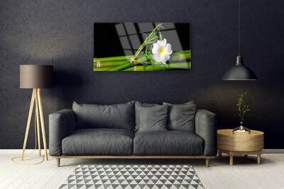 Quadro su vetro Pianta di fiori di bambù