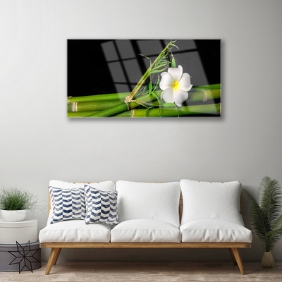 Quadro su vetro Pianta di fiori di bambù