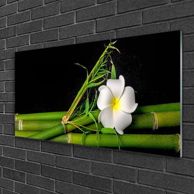 Quadro su vetro Pianta di fiori di bambù