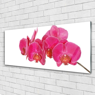 Quadro in vetro Pianta di fiori