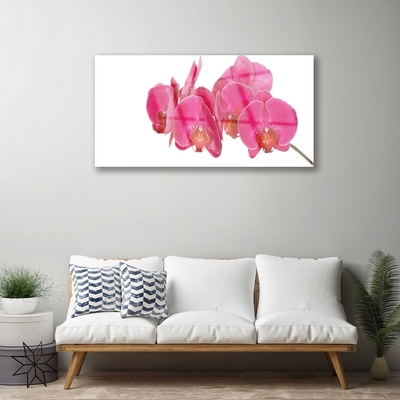 Quadro in vetro Pianta di fiori