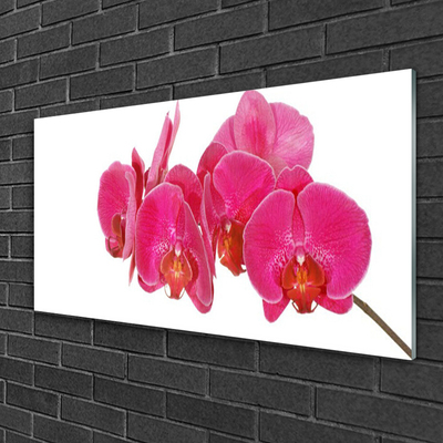 Quadro in vetro Pianta di fiori