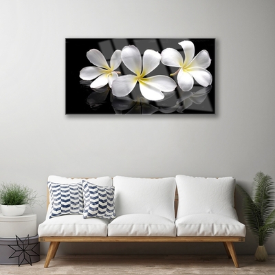 Quadro su vetro Pianta di fiori