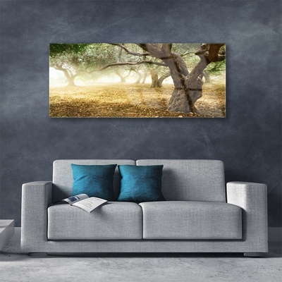 Quadro di vetro Albero Erba Natura