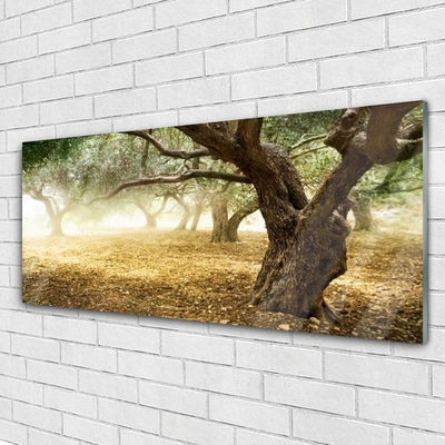 Quadro di vetro Albero Erba Natura