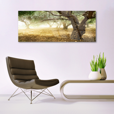 Quadro di vetro Albero Erba Natura