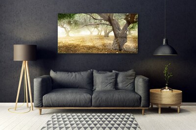 Quadro di vetro Albero Erba Natura