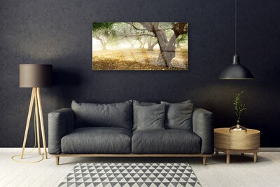 Quadro di vetro Albero Erba Natura