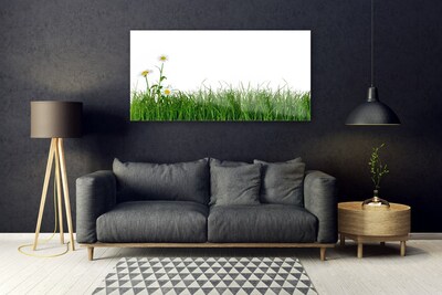 Quadro in vetro Erba Natura Pianta