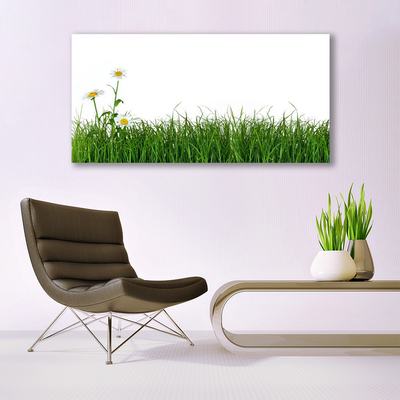 Quadro in vetro Erba Natura Pianta