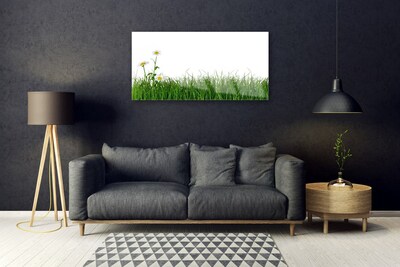 Quadro in vetro Erba Natura Pianta