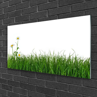 Quadro in vetro Erba Natura Pianta