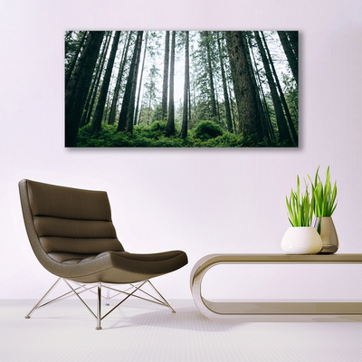 Quadro in vetro Foresta Natura Alberi