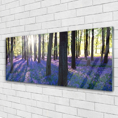 Quadro in vetro Foresta Alberi Natura