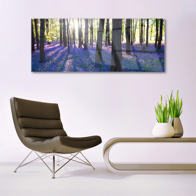 Quadro in vetro Foresta Alberi Natura