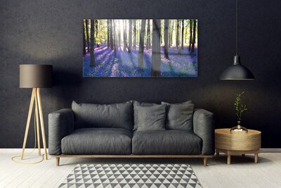 Quadro in vetro Foresta Alberi Natura