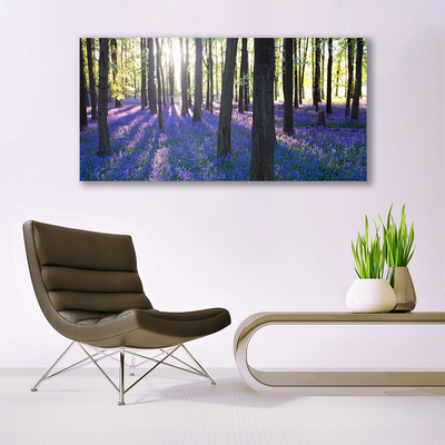 Quadro in vetro Foresta Alberi Natura