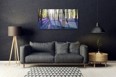 Quadro in vetro Foresta Alberi Natura