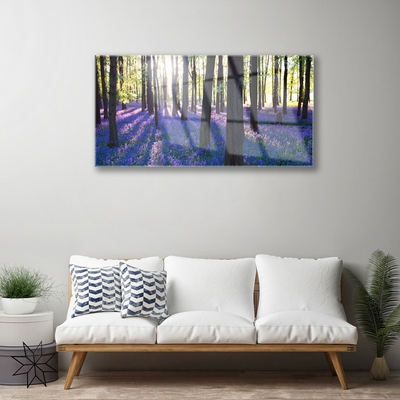 Quadro in vetro Foresta Alberi Natura